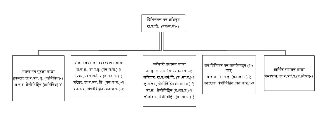 संगठन संरचना